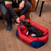 Picture of Marvel Spider Man pet bedding